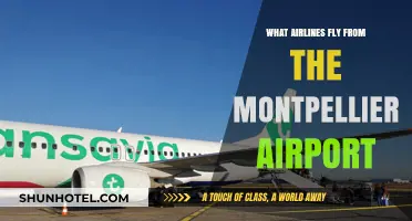 Airlines Operating from Montpellier Airport: Your Comprehensive Travel Guide