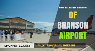 Airlines Serving Branson Airport: Your Complete Guide to Flights