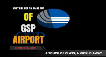 Airlines Serving GSP Airport: Your Complete Guide to Flights