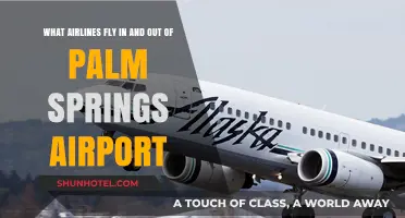 Airlines Serving Palm Springs Airport: Your Comprehensive Flight Guide