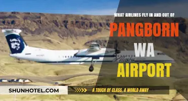 Airlines Serving Pangborn WA Airport: Your Complete Flight Guide