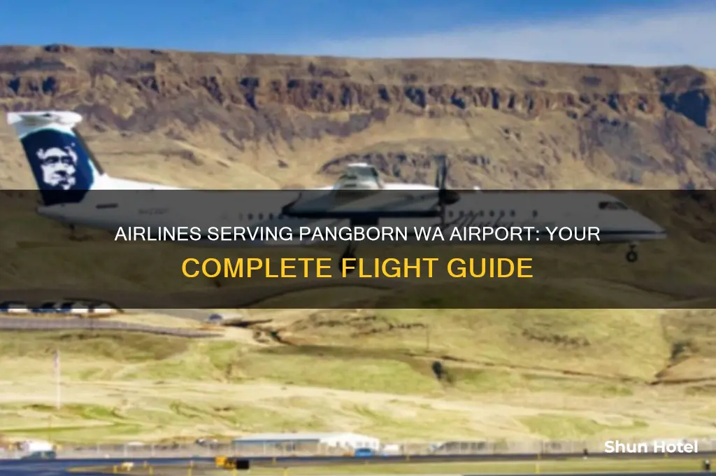what airlines fly in and out of pangborn wa airport