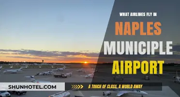 Airlines Serving Naples Municipal Airport: Your Complete Flight Guide