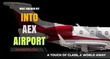 Discover Airlines Serving Alexandria International Airport (AEX) Easily