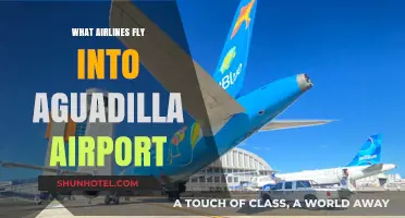Airlines Serving Aguadilla Airport: Your Complete Travel Guide