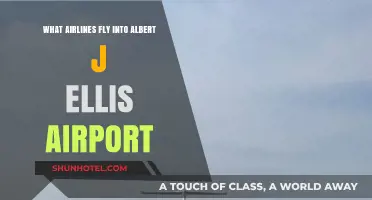 Airlines Serving Albert J. Ellis Airport: Your Comprehensive Guide