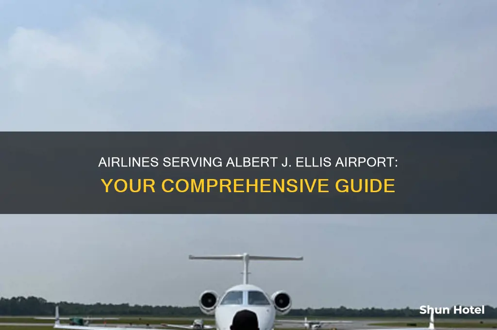 what airlines fly into albert j ellis airport