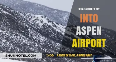 Discover Airlines Serving Aspen Airport: Your Ultimate Travel Guide