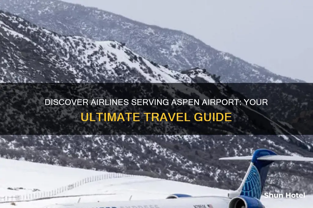 what airlines fly into aspen airport