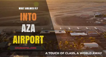 Discover Airlines Serving AZA Airport: Your Ultimate Travel Guide
