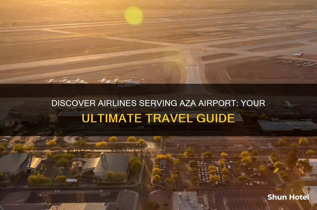 what airlines fly into aza airport