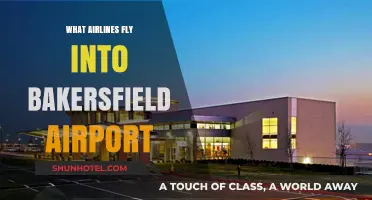 Airlines Serving Bakersfield Airport: Your Complete Guide to Flights