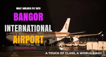 Airlines Serving Bangor International Airport: Your Comprehensive Guide