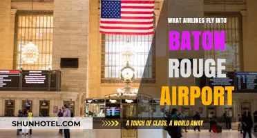 Airlines Serving Baton Rouge Airport: Your Complete Flight Guide