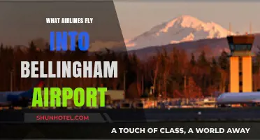 Airlines Serving Bellingham Airport: Your Comprehensive Flight Guide