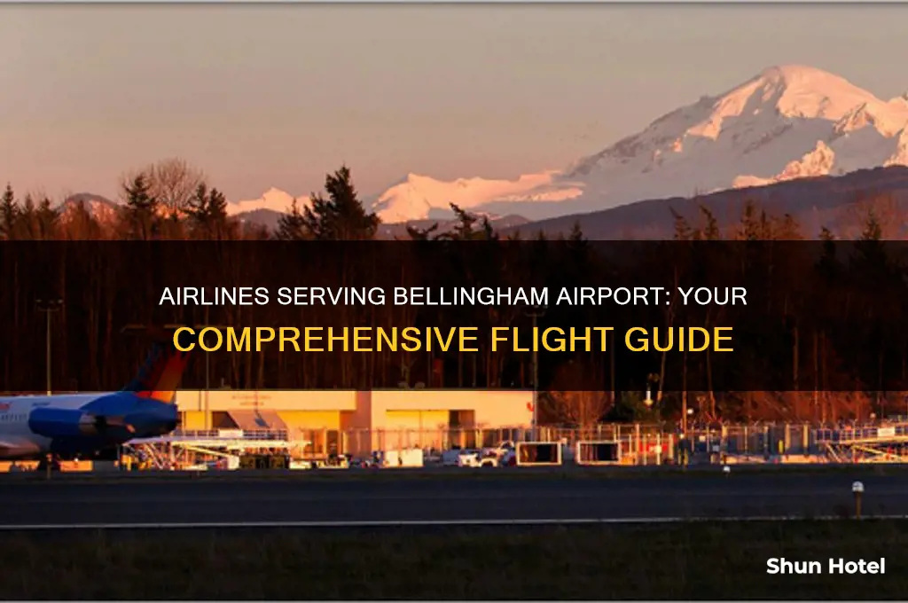 what airlines fly into bellingham airport