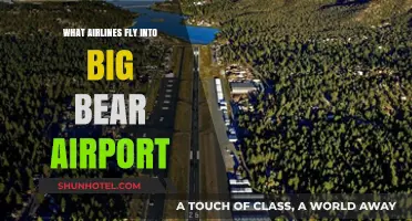 Airlines Serving Big Bear Airport: Your Ultimate Travel Guide