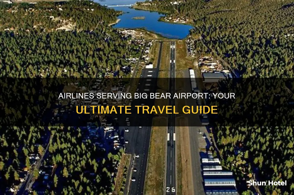 what airlines fly into big bear airport