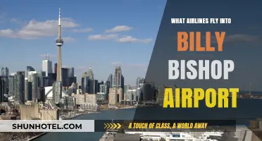 Airlines Serving Billy Bishop Airport: Your Complete Carrier Guide