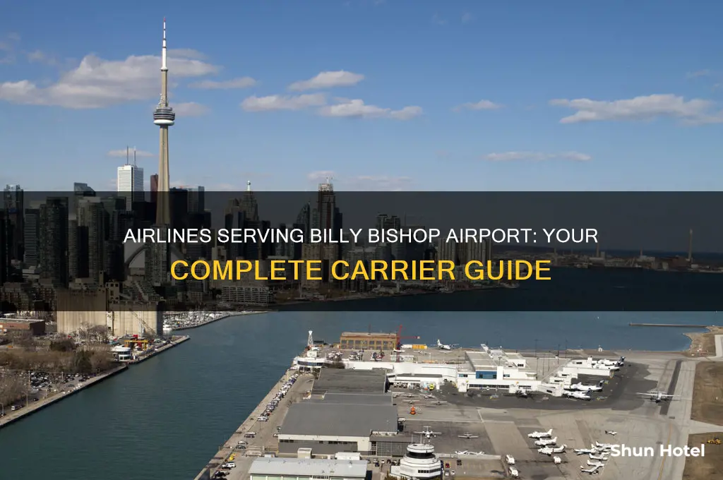 what airlines fly into billy bishop airport