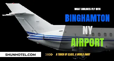 Airlines Serving Binghamton NY Airport: Your Comprehensive Flight Guide