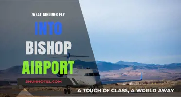 Airlines Serving Bishop Airport: Your Comprehensive Guide to Flights