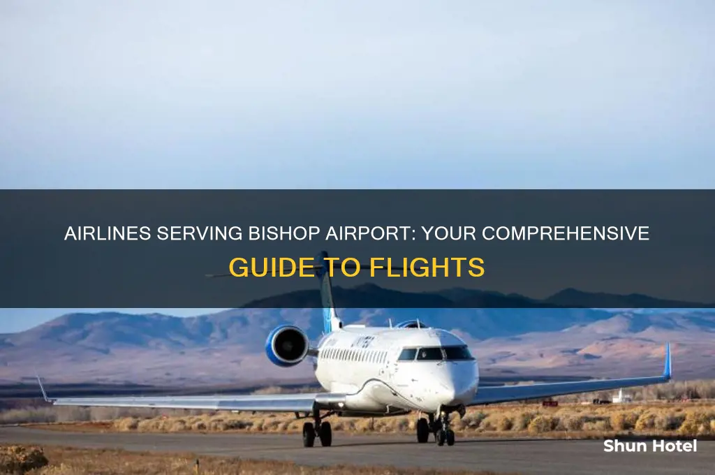 what airlines fly into bishop airport