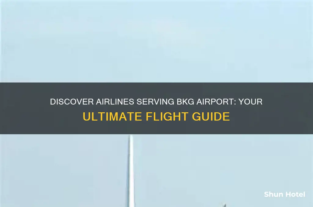 what airlines fly into bkg airport