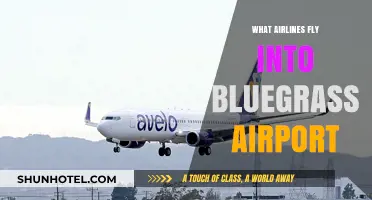 Airlines Serving Bluegrass Airport: Your Complete Guide to Flights