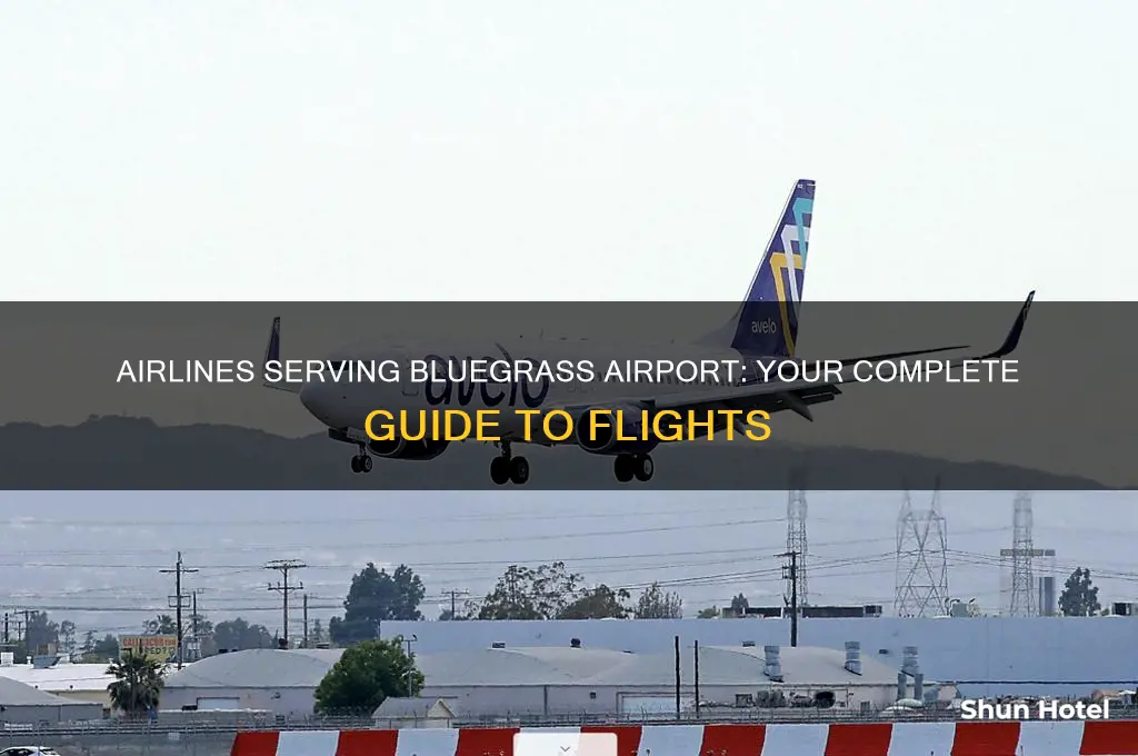 what airlines fly into bluegrass airport