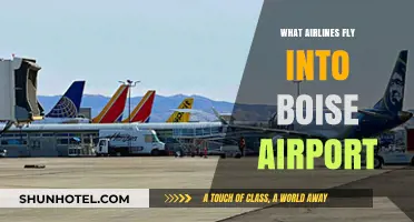 Airlines Serving Boise Airport: Your Comprehensive Guide to Flights