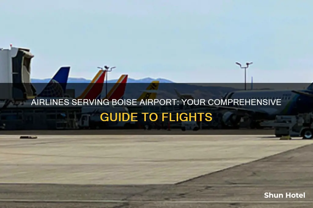 what airlines fly into boise airport