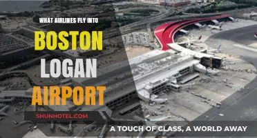 Airlines Serving Boston Logan: Your Comprehensive Flight Guide