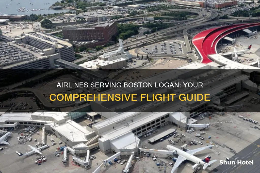 what airlines fly into boston logan airport