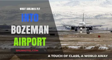 Airlines Serving Bozeman Airport: Your Complete Guide to Flights