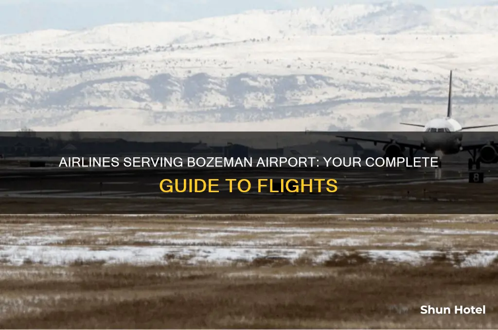 what airlines fly into bozeman airport