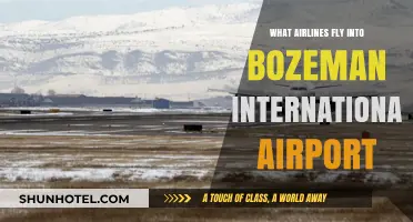 Airlines Serving Bozeman International Airport: Your Comprehensive Guide