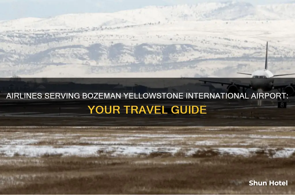 what airlines fly into bozeman yellowstone international airport