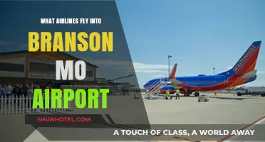Airlines Serving Branson, MO: Your Complete Flight Guide