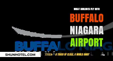 Airlines Serving Buffalo Niagara Airport: Your Complete Guide to Flights