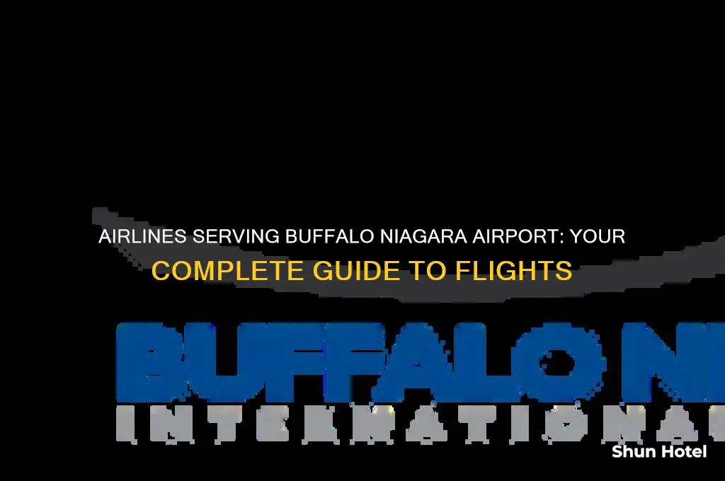 what airlines fly into buffalo niagara airport