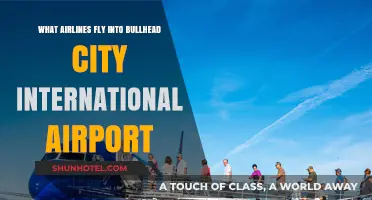 Airlines Serving Bullhead City International Airport: Your Travel Guide