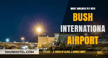 Airlines Serving Bush International Airport: Your Comprehensive Guide
