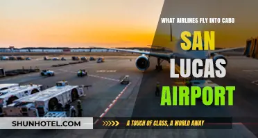 Airlines Serving Cabo San Lucas Airport: Your Ultimate Travel Guide