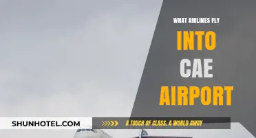 Airlines Serving CAE Airport: Your Comprehensive Flight Guide