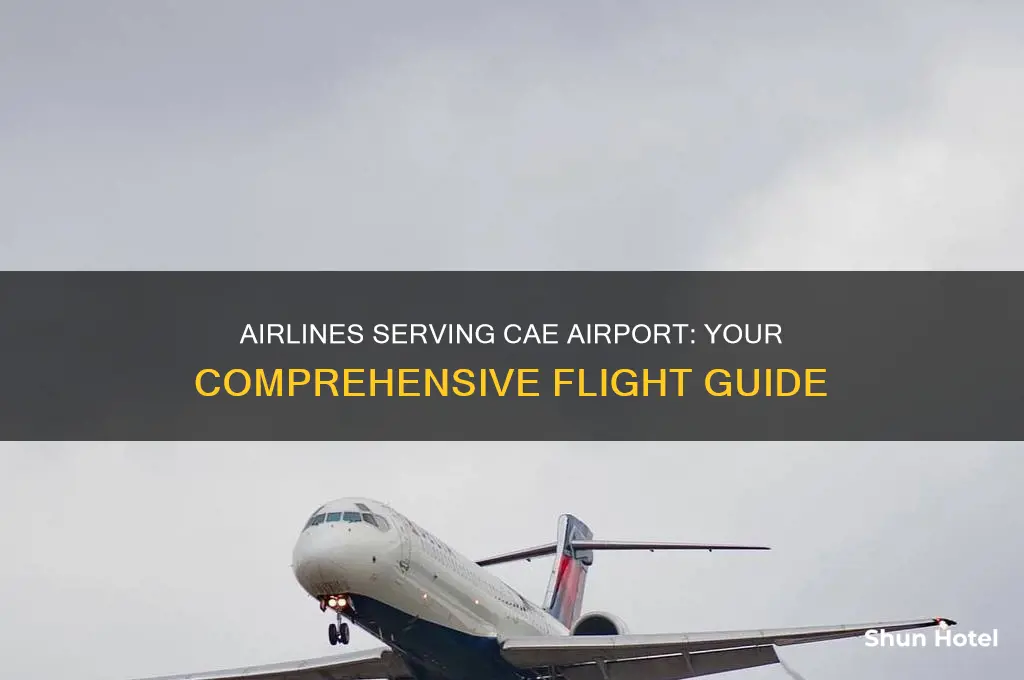 what airlines fly into cae airport