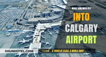 Airlines Serving Calgary Airport: Your Comprehensive Guide to Carriers
