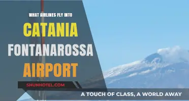 Airlines Serving Catania Fontanarossa Airport: Your Ultimate Travel Guide