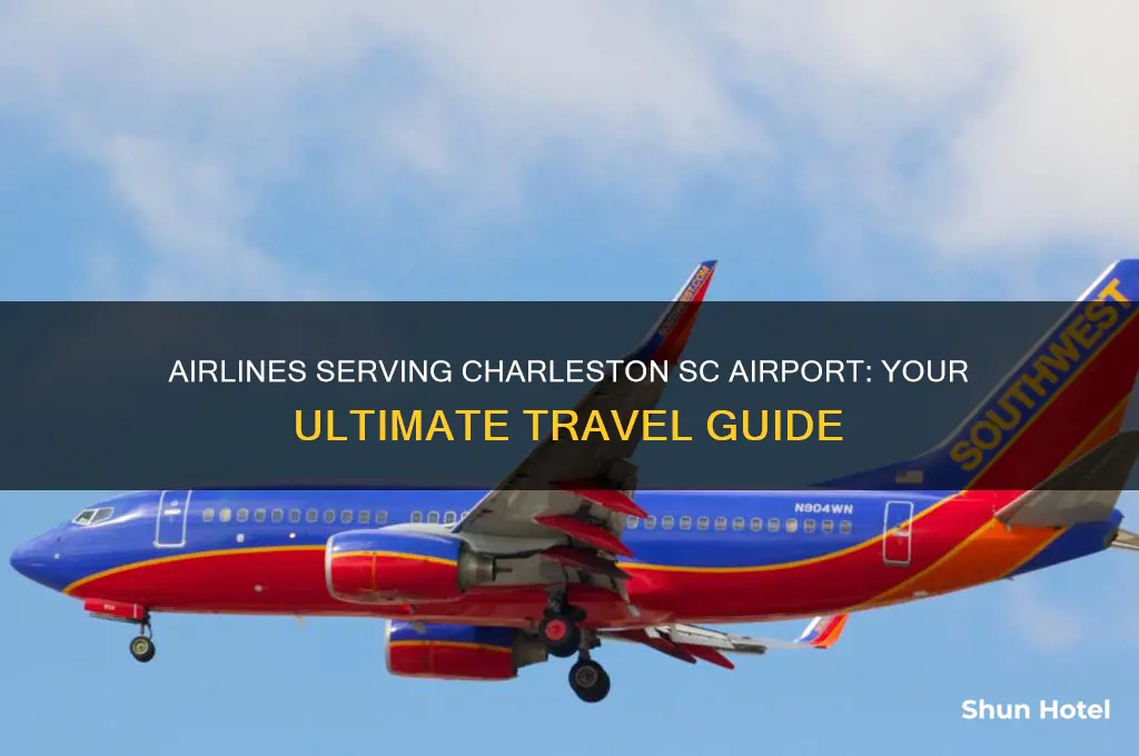 what airlines fly into charleston sc airport