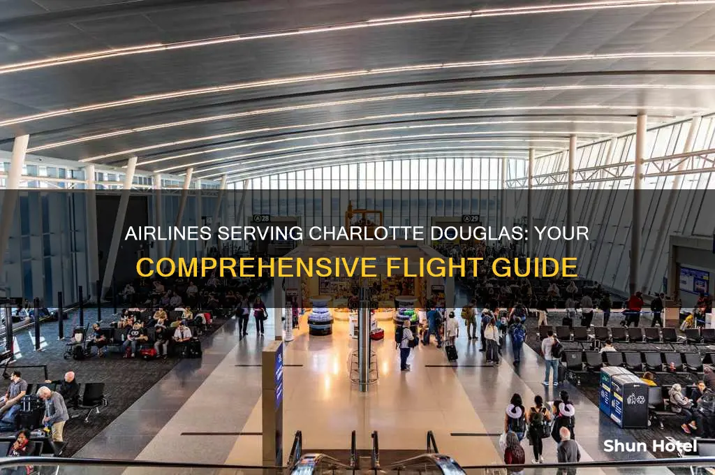 what airlines fly into charlotte douglas airport